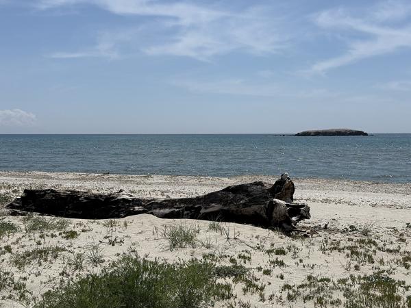 <h3>Strand bij de Nestos Delta</h3><p>Ten oosten van de monding van de Nestos Delta wandelen we naar een binnenmeer met honderden flamingo's. Op het eilandje voor de kust rust een groepje aalscholvers, waaronder een kuifaalscholver.  Maar voor mij was het te ver zelfs met telelens.</p>Apple met iPhone 16 Pro back triple camera 6.765mm f/1.78, 1/11364 sec  bij F1.8, ISO 64